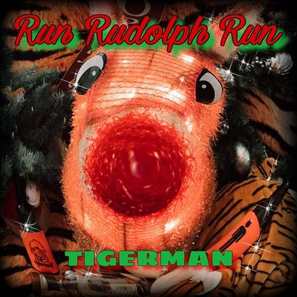 Cover art for Run Rudolph Run